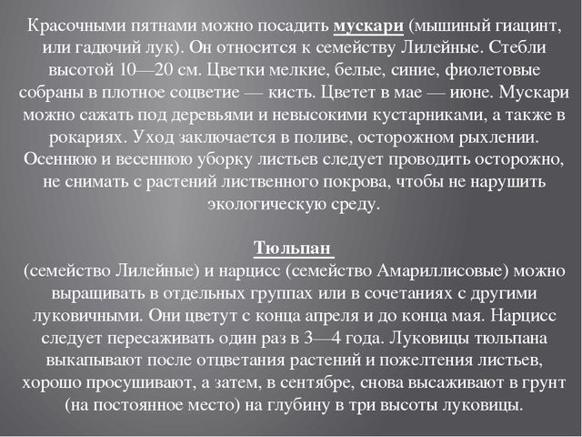 Цветники на территории детского сада