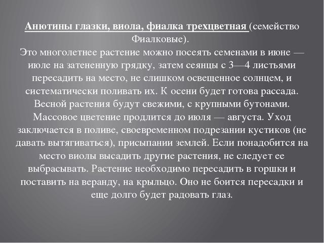 Цветники на территории детского сада