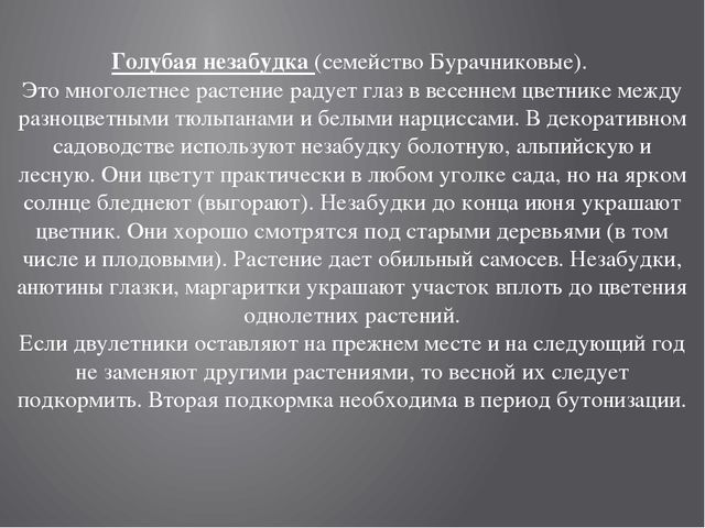 Цветники на территории детского сада