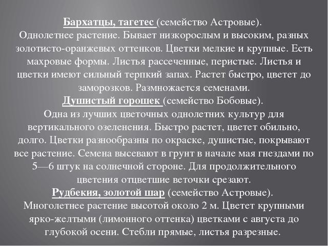 Цветники на территории детского сада