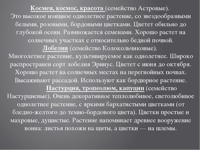 Цветники на территории детского сада