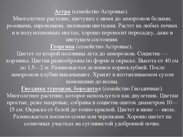 Цветники на территории детского сада