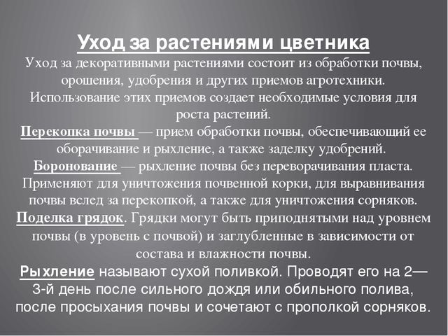 Цветники на территории детского сада