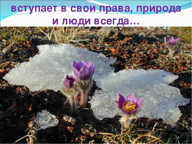 Презентация "Весенние изменения в природе"