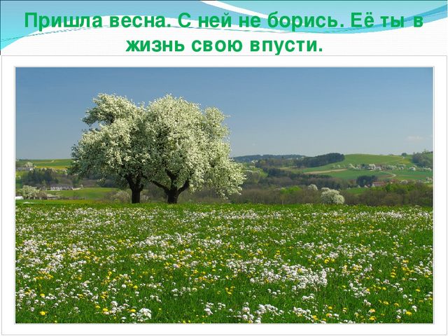 Презентация "Весенние изменения в природе"