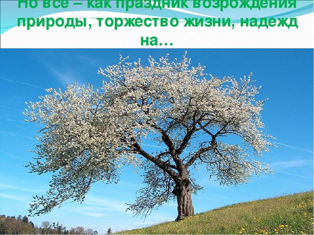 Презентация "Весенние изменения в природе"