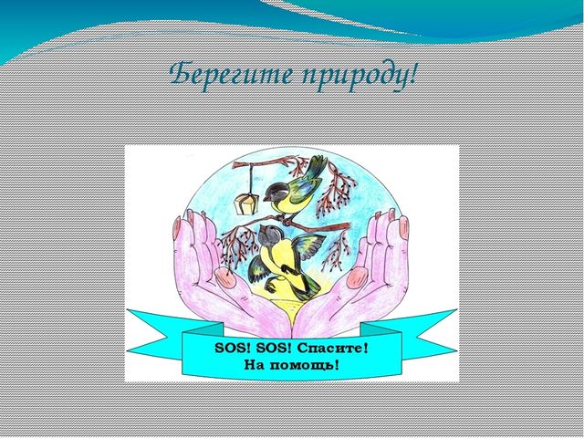 Презентация по ознакомлению с окружающим миром во 2 младшей группе на тему "Покормите птиц зимой"