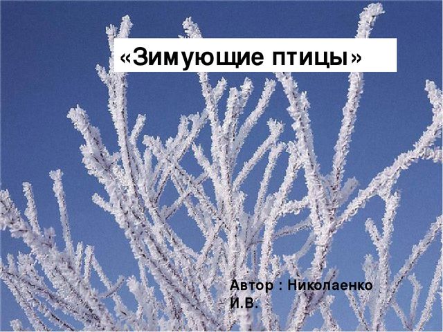 Презентация для ДОУ "Зимующие птицы"