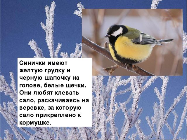 Презентация для ДОУ "Зимующие птицы"