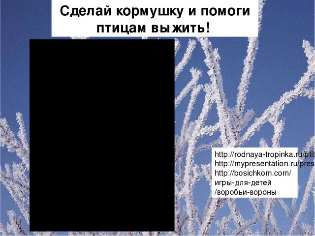 Презентация для ДОУ "Зимующие птицы"