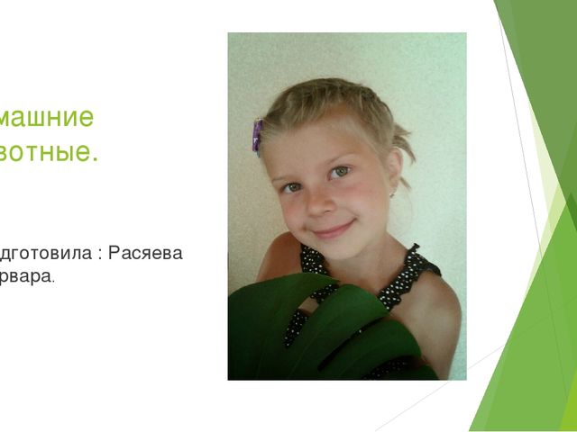 Презентация "Домашние животные и польза от них человеку"