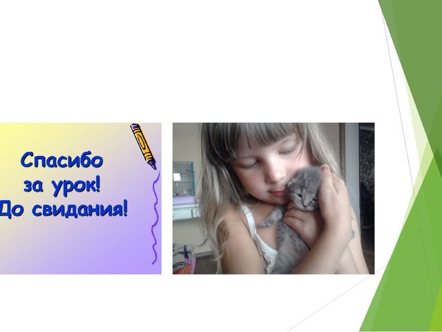 Презентация "Домашние животные и польза от них человеку"