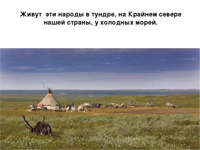 Презентация по окружающему миру "Народы Севера РФ" старшая группа