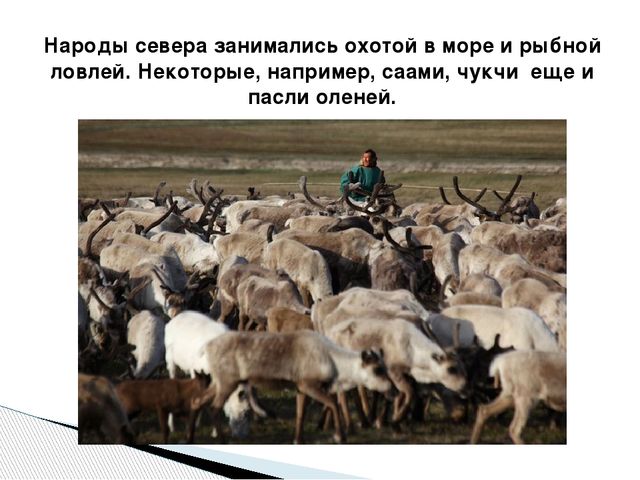 Презентация по окружающему миру "Народы Севера РФ" старшая группа