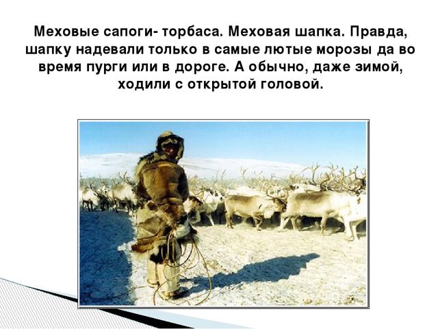 Презентация по окружающему миру "Народы Севера РФ" старшая группа