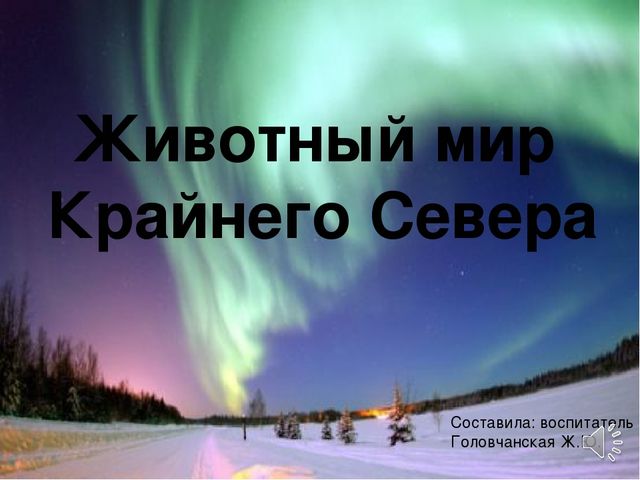 Презентация по окружающему миру "Животные Крайнего Севера" старшая группа