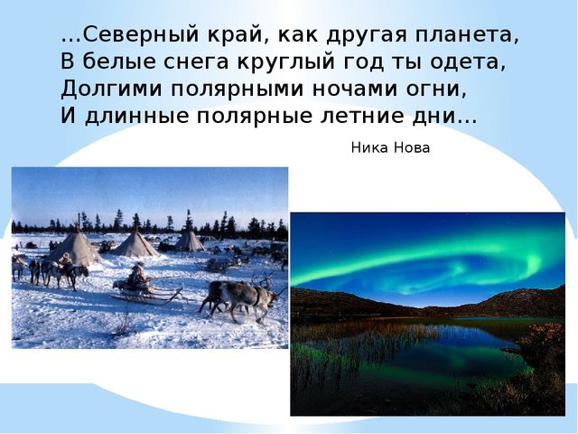 Презентация по окружающему миру "Животные Крайнего Севера" старшая группа