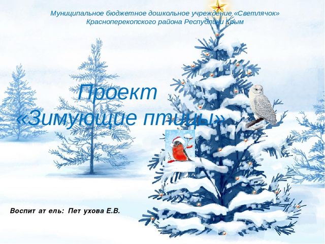 Презентация проекта "Зимующие птицы"