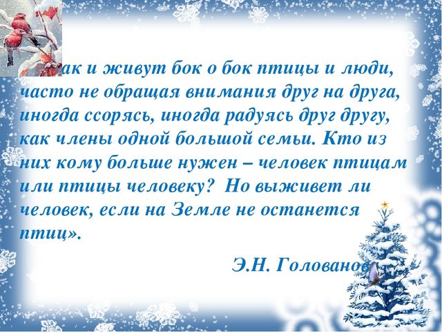 Презентация проекта "Зимующие птицы"