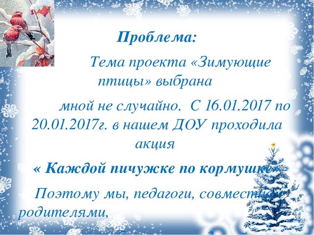 Презентация проекта "Зимующие птицы"