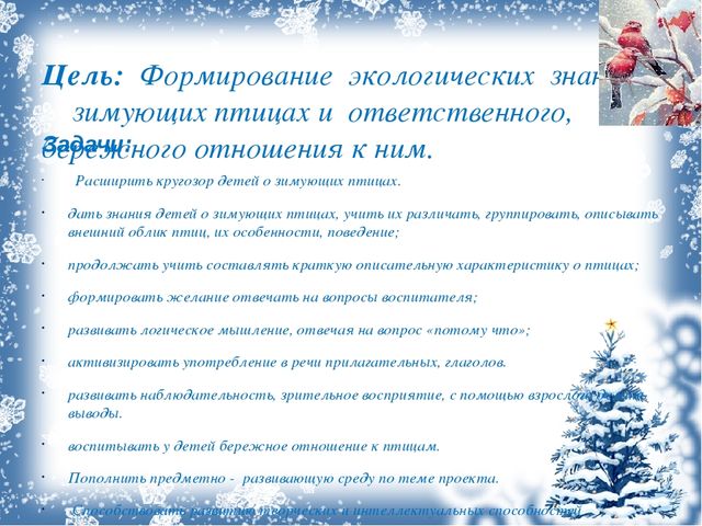 Презентация проекта "Зимующие птицы"
