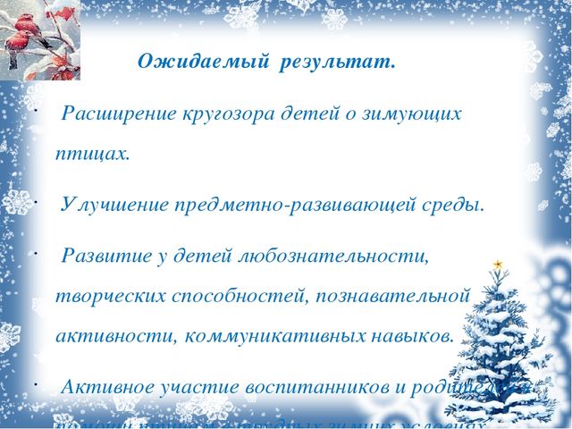 Презентация проекта "Зимующие птицы"