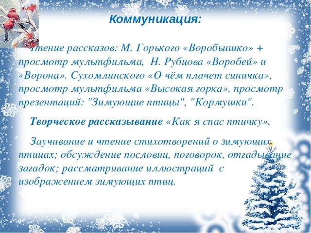 Презентация проекта "Зимующие птицы"