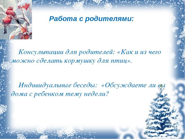 Презентация проекта "Зимующие птицы"