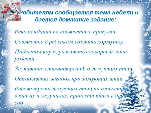 Презентация проекта "Зимующие птицы"