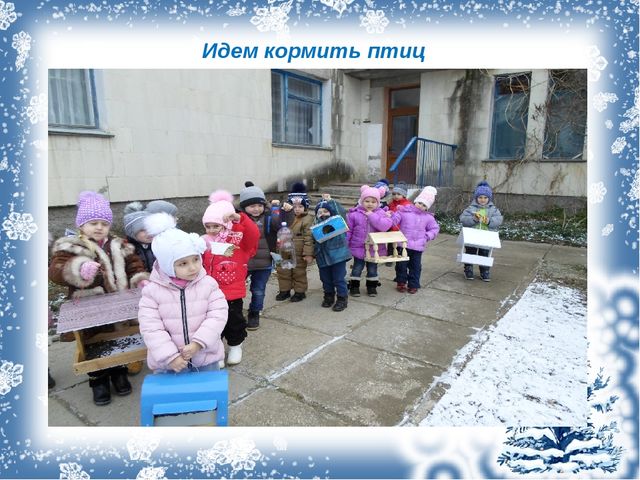 Презентация проекта "Зимующие птицы"