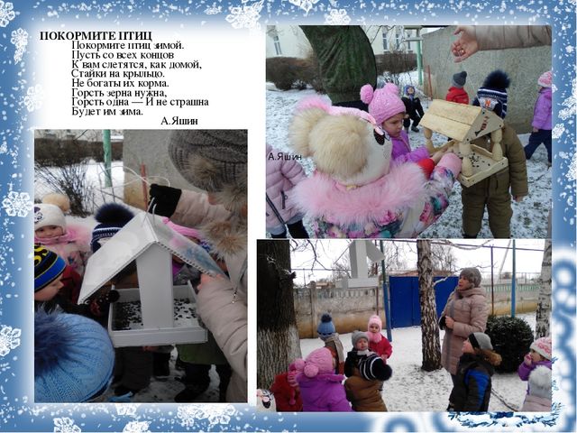 Презентация проекта "Зимующие птицы"