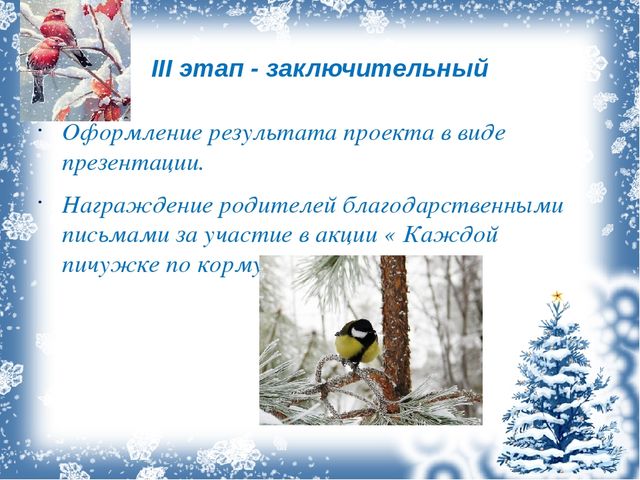 Презентация проекта "Зимующие птицы"