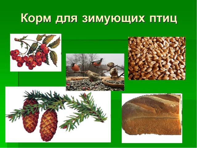 Обучение грамоте. Звук и буква С.