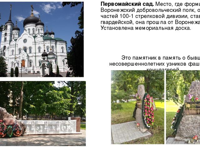 Освобождение Воронежа от немецко-фашистских захватчиков.
