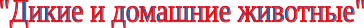 Shape2