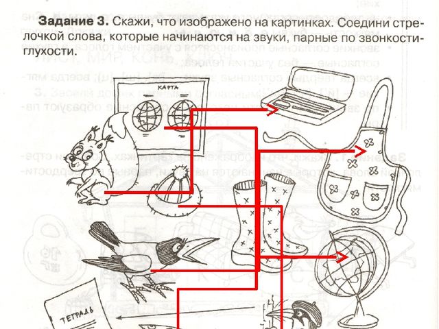 Согласные твёрдые и мягкие, звонкие и глухие.