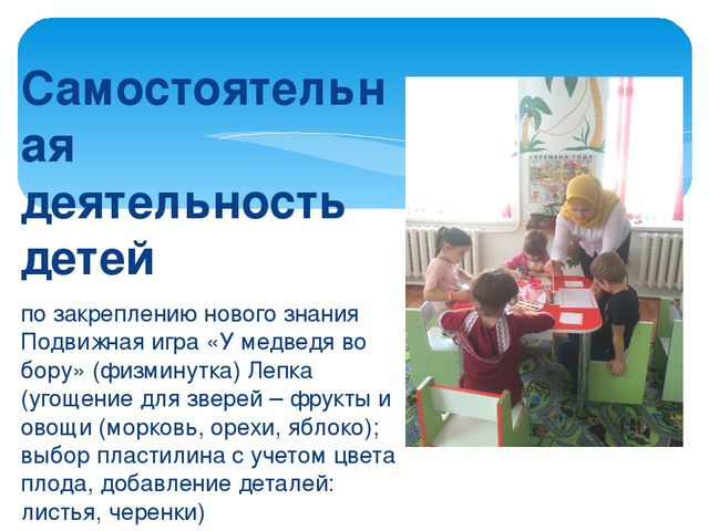 Презентация структура (занятия) в доу