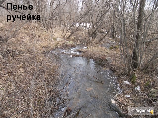 Презентация к интегрированному занятию "Что такое весна"