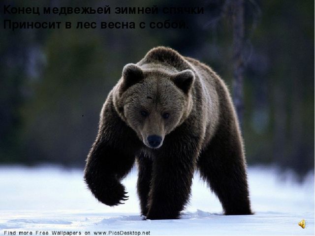 Презентация к интегрированному занятию "Что такое весна"