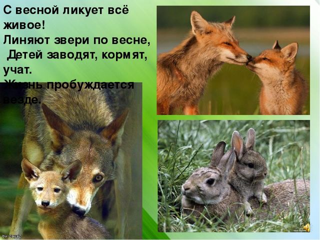 Презентация к интегрированному занятию "Что такое весна"