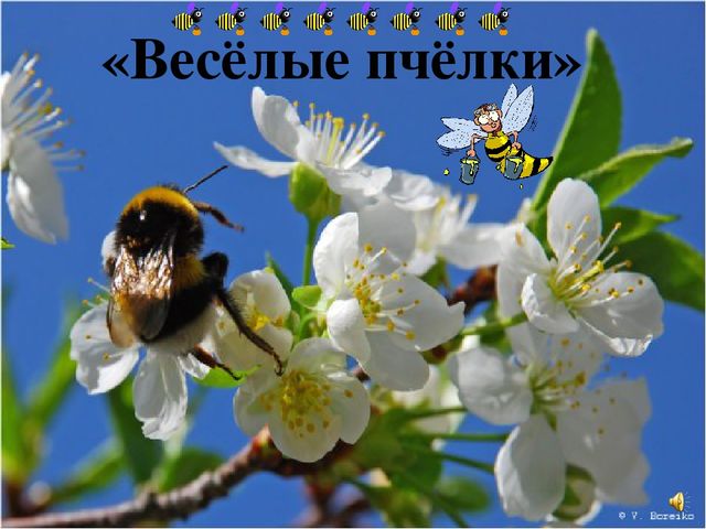 Презентация к интегрированному занятию "Что такое весна"
