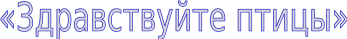 Shape1