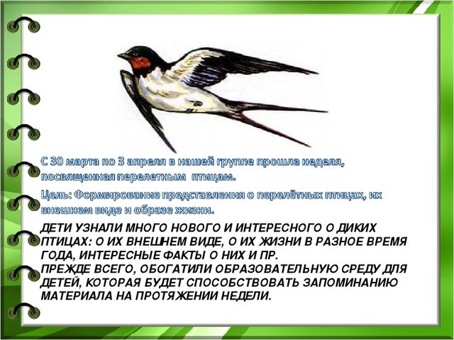 Презентация к проекту "Здравствуйте птицы" младшая разновозрастная группа
