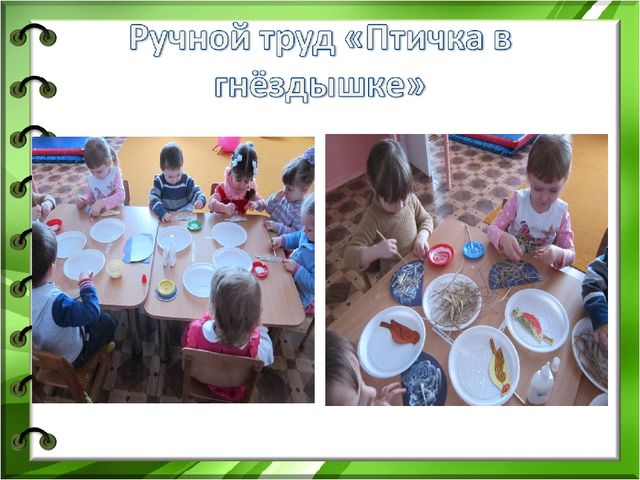 Презентация к проекту "Здравствуйте птицы" младшая разновозрастная группа