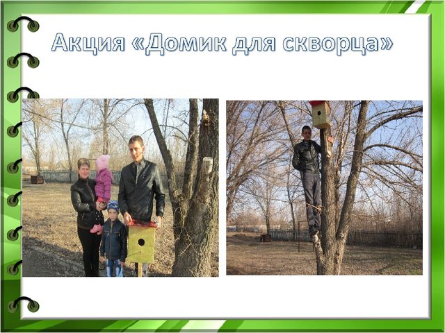 Презентация к проекту "Здравствуйте птицы" младшая разновозрастная группа