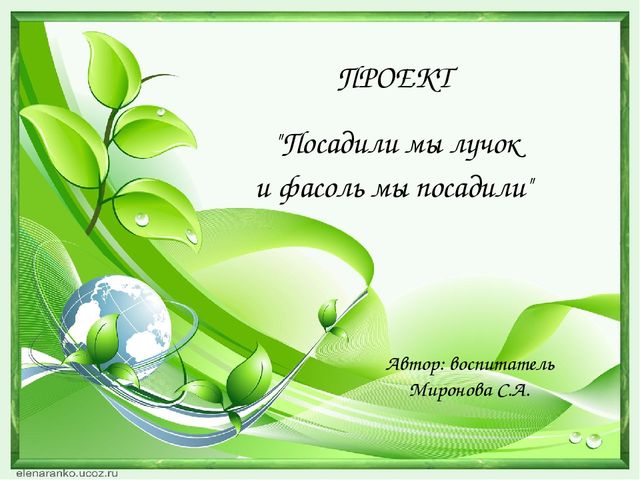 Презентация проекта "Зеленый лучок".
