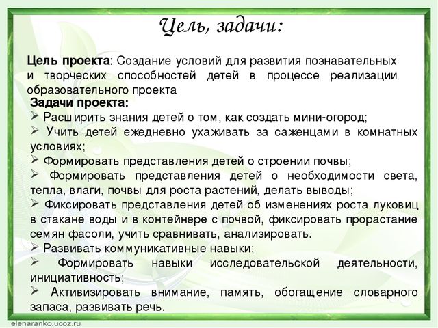 Презентация проекта "Зеленый лучок".