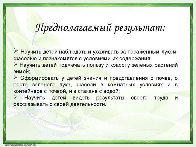 Презентация проекта "Зеленый лучок".