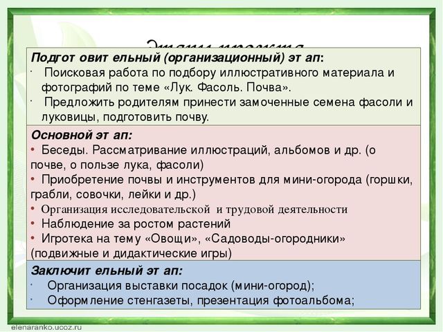 Презентация проекта "Зеленый лучок".