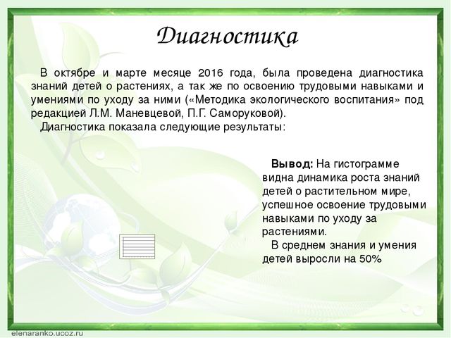 Презентация проекта "Зеленый лучок".